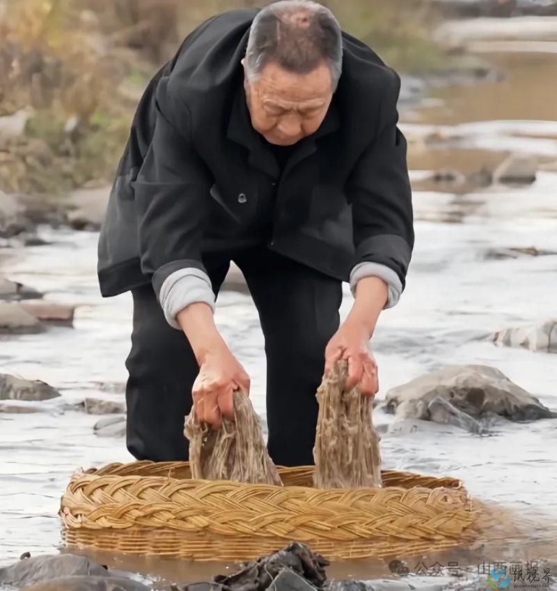 造紙8.jpg