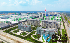 太陽紙業(yè)2024年盈利超31億元 2025年成新上項目投資大年
