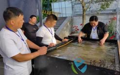 西和麻紙讓非遺技藝之美“活”起來(lái)