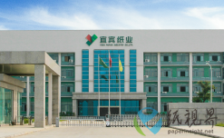 上半年收官！宜賓紙業(yè)表現(xiàn)如何？