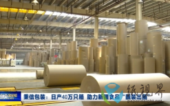 日產(chǎn)40萬只！烏魯木齊秉信包裝助力食品“靚裝出圈”